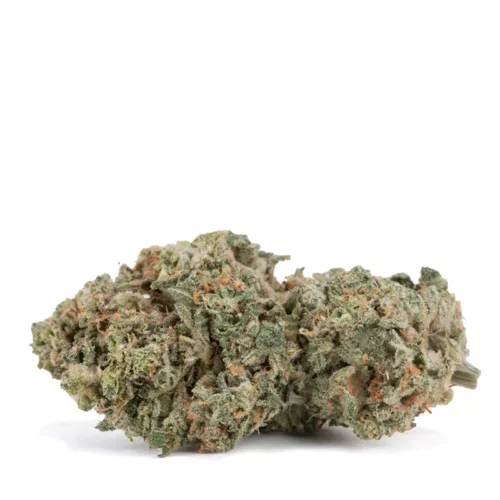 Orange Runtz Cake feminised cannabis